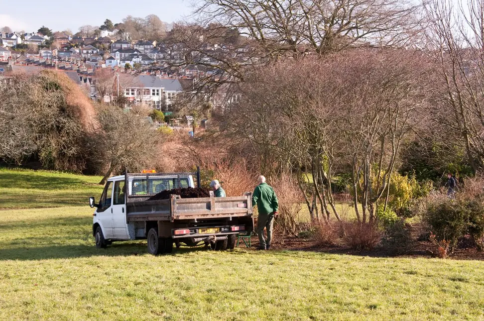 Two gardeners beside a small tipper truck loaded with dark mulch at the edge of shrub beds in a park in winter