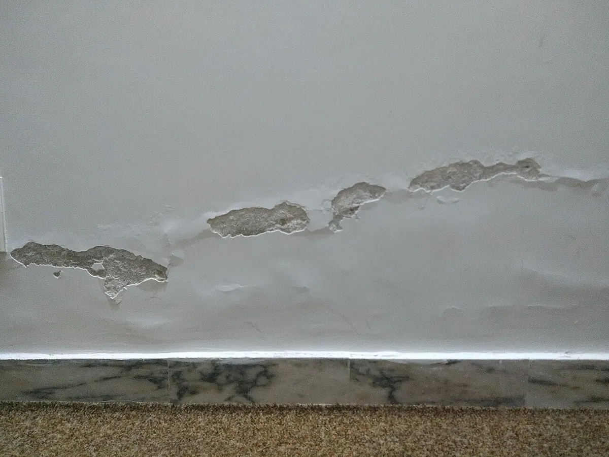 A white painted wall with bubbling, peeling plaster and bare patches just above the skirting board